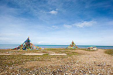 青海湖裸鲤图片