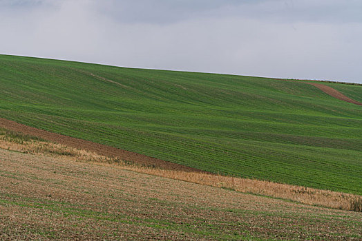 捷克南部摩拉维亚田园乡村风景
