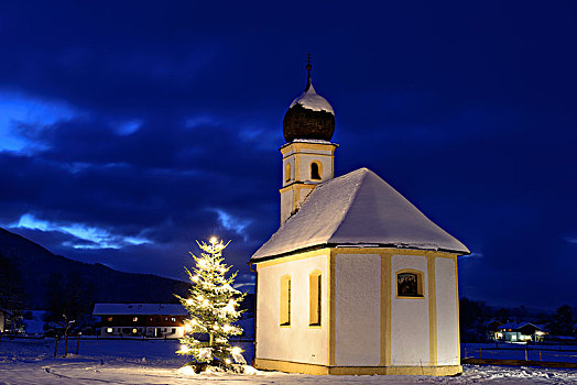 小教堂,光亮,圣诞树,圣诞时节,靠近,上巴伐利亚,巴伐利亚,德国,欧洲