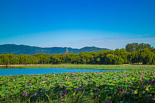 颐和园