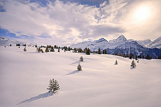 暖光,初雪,高山,区域,格劳宾登,瑞士,欧洲