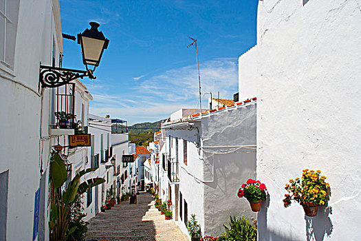 小巷,城镇,弗里希里亚纳,安达卢西亚,西班牙,欧洲