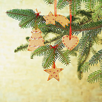 圣诞曲奇,悬挂,圣诞树