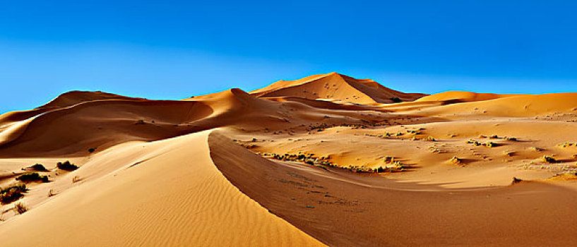卫星天线,沙丘,却比沙丘,撒哈拉沙漠,摩洛哥,非洲