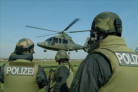 德国,欧洲直升机公司,欧盟,运输,直升飞机,使用,特警,团队,警察,飞,警队