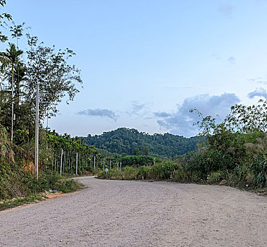 乡村,碎石路