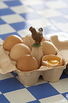 蛋,鸡蛋格,模型,母鸡