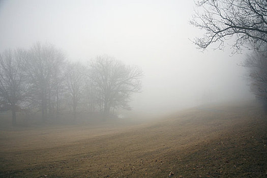 雾状,高尔夫球场