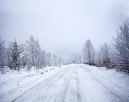 雪,小路