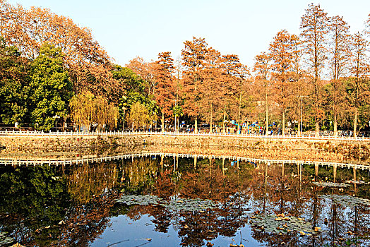 武汉大学