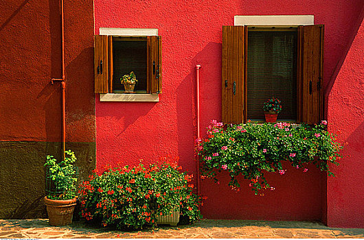 植物,窗户,威尼斯泻湖,意大利