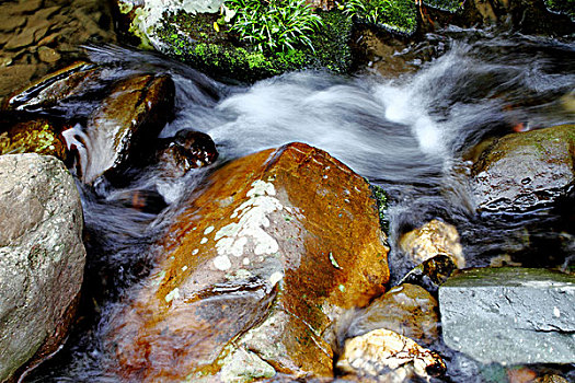 山中的溪水