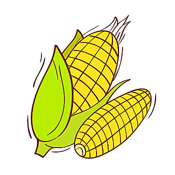 插画,玉米,白色背景