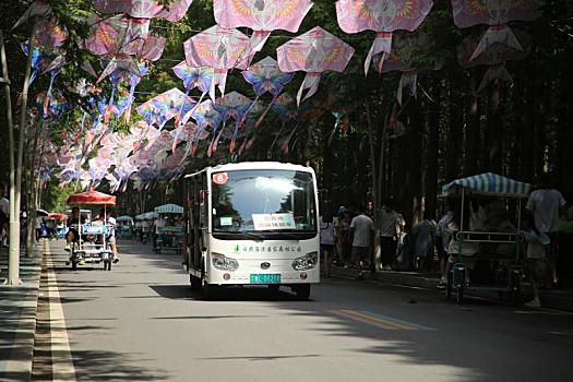 暑期旅游热辣滚烫,游客在林海中绿色骑行