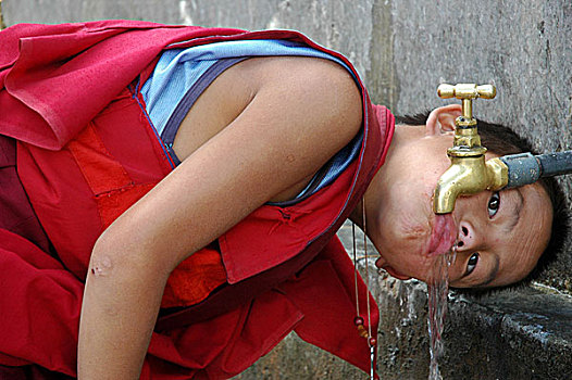 小,僧侣,饮料,水,水龙头,廷布,不丹,十一月,2007年