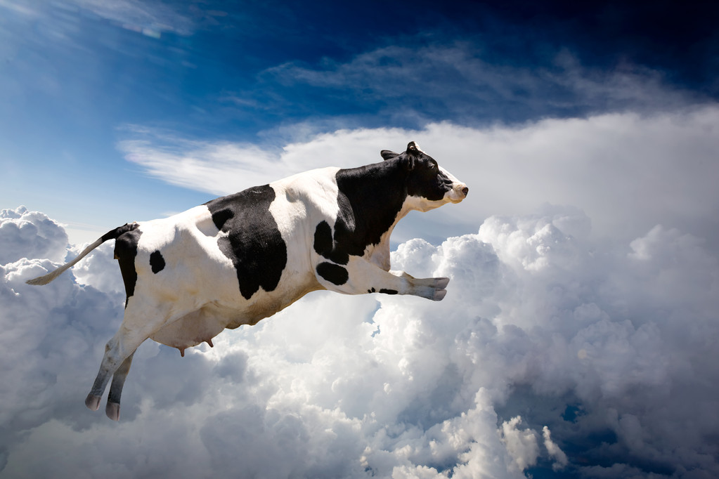 牛在天上飞图片大全图片