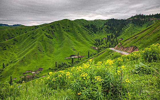 绿色山坡