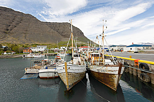 渔港,冰岛,北欧,欧洲