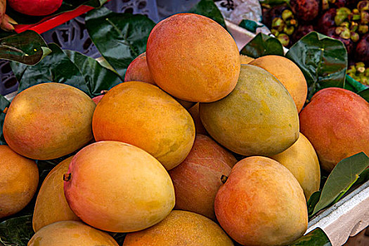云南大理洱海双廊健康食品水果-------,芒果