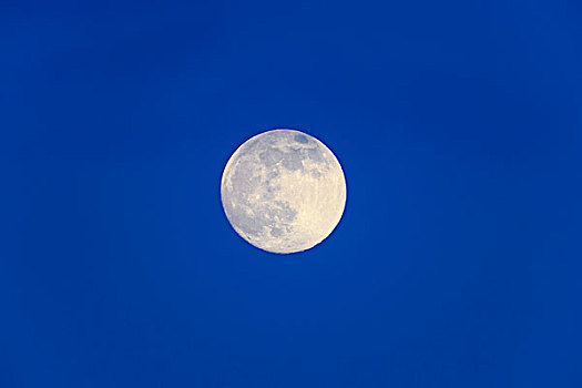满月,深蓝,天空,上方,奥地利