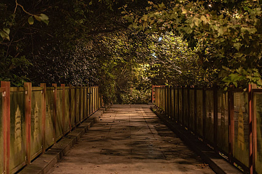 夜晚城市公园的道路