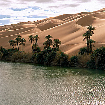 利比亚,撒哈拉沙漠,沙,沙漠,绿洲,棕榈树,水,沙丘