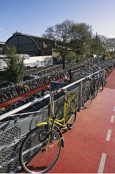 自行车,阿姆斯特丹,荷兰