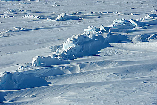 南极,威德尔海,迅速,冰,脊