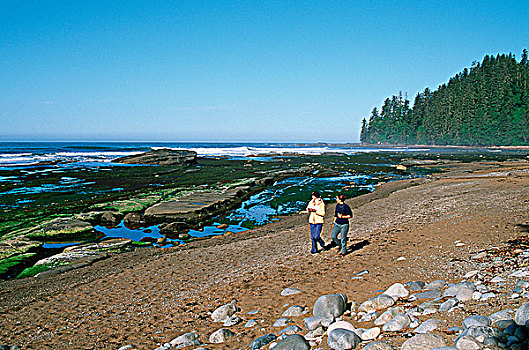 环太平洋国家公园,西海岸小径,海滩,河,温哥华岛,不列颠哥伦比亚省,加拿大