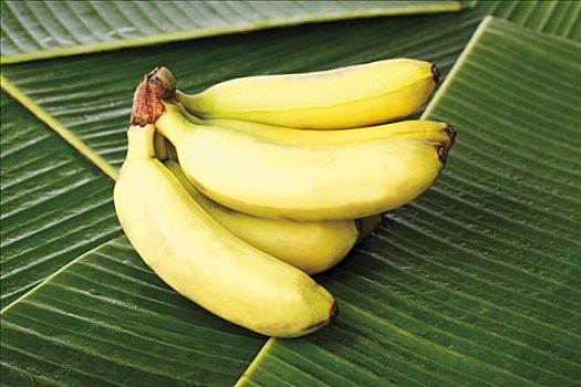 香蕉,香蕉科,手指糕点,床,香蕉叶
