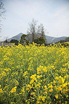 舟山市南洞风景区