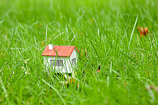 草地上的房屋模型