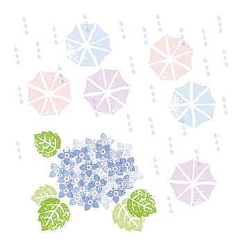 蓝色,八仙花属,伞,下雨,季节