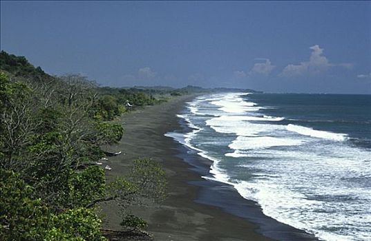 中心,太平洋海岸,哥斯达黎加,中美洲