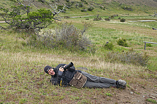 一个,男人,头像,躺着,草,巴塔哥尼亚,智利