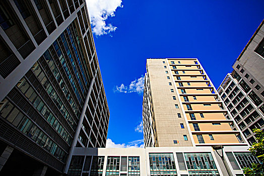 大楼,建筑群,城市,道路,蓝天