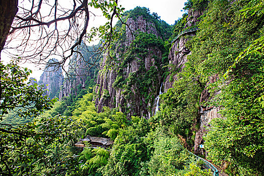 山,瀑布,岩石,树林