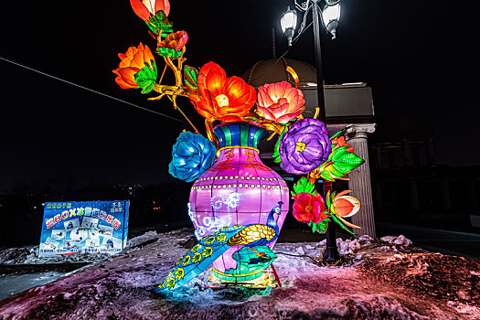 中国长春南湖公园冰雪灯光展夜景
