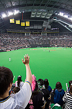 巨大,人群,札幌,圆顶,北海道,看,游戏,家,棒球队,日本,火腿,好斗