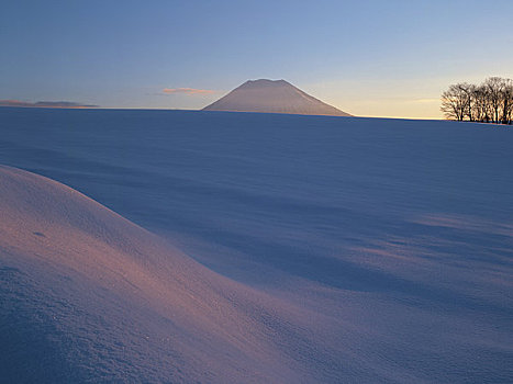 山,雪原,早晨,阳光