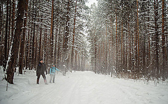 情侣,遮盖,树林,俄罗斯