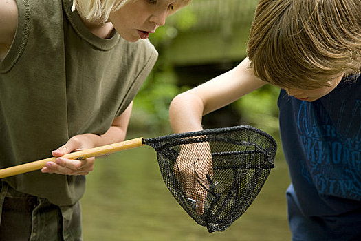 两个男孩,检查,满意,渔网