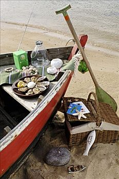 野餐,船,沙滩