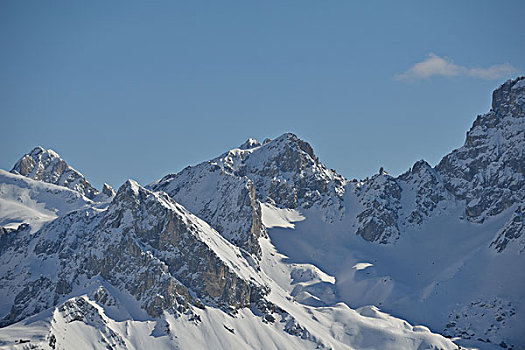 自然,冬季风景,树,初雪