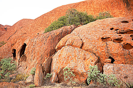 乌卢鲁卡塔曲塔国家公园,北领地州,中心,澳大利亚