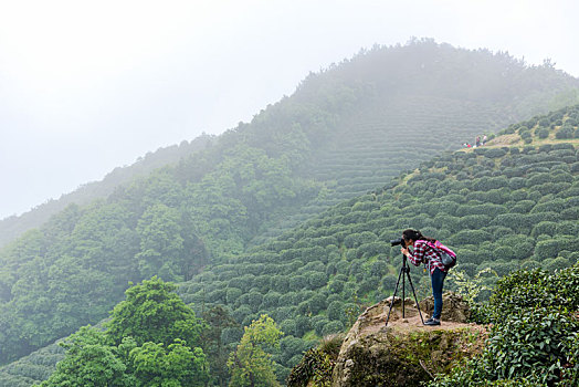 茶山风光摄影