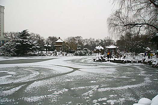 雪景