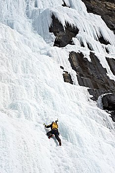 攀冰者,冰瀑,靠近,艾伯塔省,加拿大