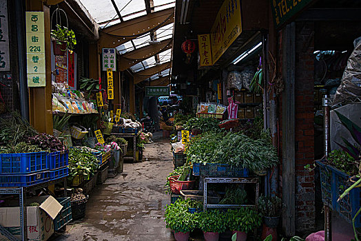 台湾台北,著名的草药巷,就在龙山寺旁,是历史悠久的草药巷