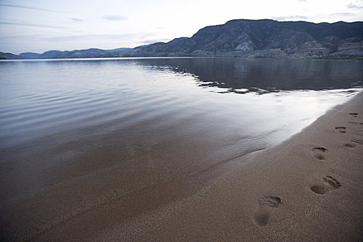 脚印,海滩,湖,潘提顿,不列颠哥伦比亚省,加拿大